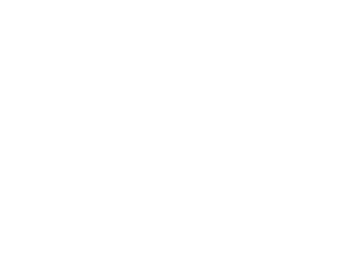 Lyte Ladders logo