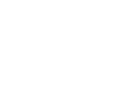 Wernick logo